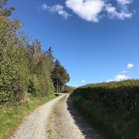 Chic Cottage Near Elan Valley And Builth Wells Llanwrthwl Eksteriør billede
